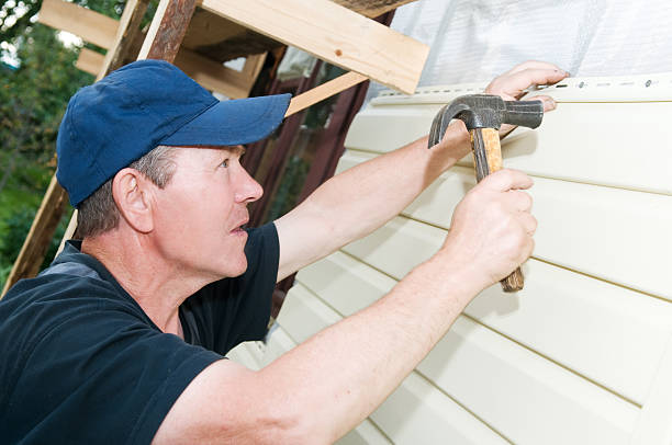 Best Vinyl Siding Installation  in Kirkwood, MO